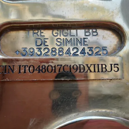 ベッド・アンド・ブレックファスト Bb Tre Gigli Stazione, Via Palazzuolo 55